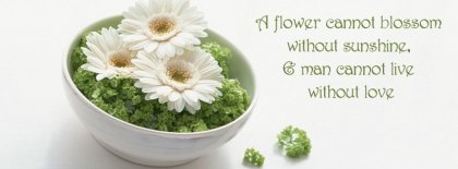 A Flower Cannot Blossom Without Sunshine Facebook Covers